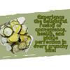 G-BOX Freeze Dried Kosher Pickle Chips, Keto| Low-Calorie Snacks| Original 1.2 OZ | Healthy Snacks for Adults with Dill Pickles Flavor, Perfect Lunchables Option | Made in USA. view 3