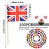 Flags Of The World Toothpick Flags 100Pcs Different Country Flags On Sticks Mini Flags Of The World Double Sided Tiny World Flags Cupcake Toppers Eurovision view 3
