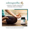 NineLife Basics Organic KSM-66 Ashwagandha Vegetarian Supplements 150 Capsules, 1000mg per Daily Serving view 2