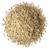 Food to Live Organic Rye Berries, 25 Pounds  Non-GMO, Kosher, Raw, Bulk Seeds, Product of the USA view 3