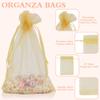 100PCS Organza Bags, 4x6 inch Small Mesh Sachets, Gold Sheer Wedding & Party Favor Bags for Candy, Jewelry, Bracelets and Small Gifts view 3