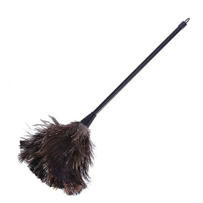 boxidixi Ostrich Duster Feather Brush with Long Handle Computer Dust Removal for Home Bedroom Dormitory Keyboard for Feather Brush