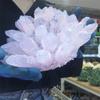 KatLin Natural Stone Shallow Pink Crystal Clusters Quartz Crystal Mineral Home Decor(Size:4-5kg) view 2
