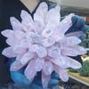 KatLin Natural Stone Shallow Pink Crystal Clusters Quartz Crystal Mineral Home Decor(Size:4-5kg) view 3