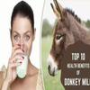 Magichood Nutravit 100% PURE NATURAL Dried Donkey Milk Powder | 100gm (3.5 Oz) Pack | view 2
