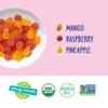 Generic Y.umearth F.ruit Snack Tropical Org 7 oz (Pack of 6) view 4