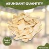 2.75" Disposable Wooden Taster and Sampling Spoons - Pack of 300ct view 2