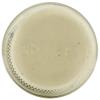 B.eaver Horseradish Sauce 4 oz (Pack Of 12) view 4