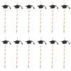 12pcs Graduation Theme Bendable Drinking Straws Flexible Decorative Straws Graduation Party Supplies Disposable Celebrations view 1