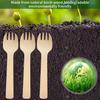 400pcs 4 inch Mini Wooden Forks, Biodegradable Compostable Birchwood, Food Grade Disposable Spoons Disposable Wooden Cutlery for Parties, Weddings, Camping. view 3