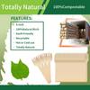 400pcs 4 inch Mini Wooden Forks, Biodegradable Compostable Birchwood, Food Grade Disposable Spoons Disposable Wooden Cutlery for Parties, Weddings, Camping. view 4