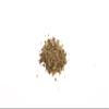 15 Sachets | Bushwick Tea | Moroccan Mint Green Tea | Organic Green Tea with Spearmint | Refreshing & Aromatic | | No Added Sugar | Plastic free compostable sachets | (15 Sachets) view 4
