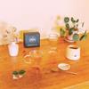 100 Sachets | Bushwick Tea | Jasmine Green Tea | Organic Green Tea with Jasmine Blossoms | Light & Floral | Caffeinated | Eco-Friendly Sachets | (100 Sachets) view 2