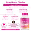 Pink Stork Choline - 550 mg Choline Bitartrate from VitaCholine for Pregnant + Postpartum Moms - Prenatal Vitamin for Fetal Cognitive Health + Breast Milk Quality - 1 Capsule Daily, 30 Count view 3