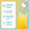 Bye-Bye Weekend Detox Drink Mix w/Electrolytes - for Bloating, Recovery, Fatigue, Brain Fog - Probiotics, Lions Mane, Milk Thistle - Zero Sugar Lemonade - 10 Pack view 3