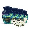 Urn for Human Ashes, 10 inch Large Size, Suitable for 1-200 lb Person, Memorial Urn, Embalming Cremation Urn with Lid, Funeral Urns for Men and Women (Galaxy (54), Keepsake Pack of 4) view 1