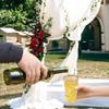 I00000 16 oz Gold Plastic Cups, 100 Pack Clear Plastic Cups Tumblers Gold Rimmed Cup, Heavy-duty Disposable Cup Perfect for Wedding & Party view 3