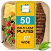 100% Natural 6 Palm Leaf Square Plate (50-pack), Compostable & Biodegradable Dinnerware for Catering, Birthdays, Halloween, BBQs, Thanksgiving, Alternative to Paper & Bamboo Plates Disposable view 1