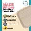 100% Natural 6 Palm Leaf Square Plate (50-pack), Compostable & Biodegradable Dinnerware for Catering, Birthdays, Halloween, BBQs, Thanksgiving, Alternative to Paper & Bamboo Plates Disposable view 4