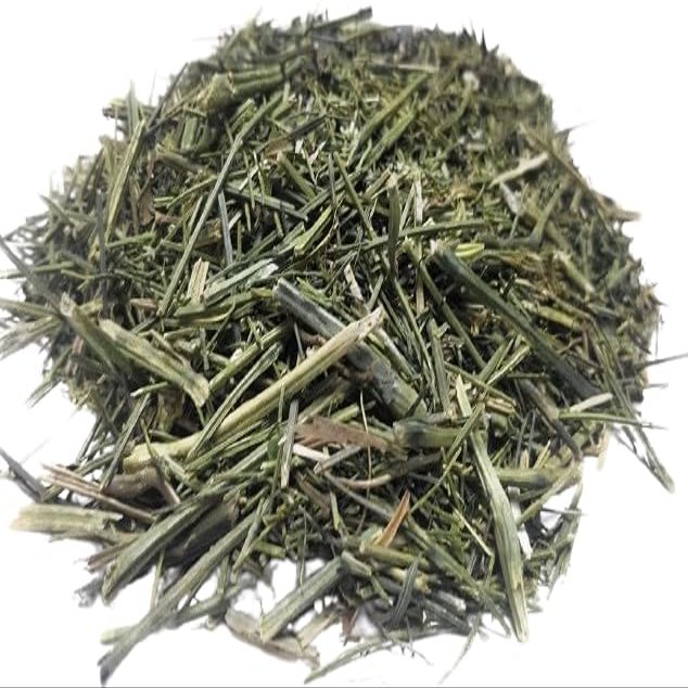 My God Gift Asli Chiraita Kadwa Kirayata Chirata-Swertia Chirata-Littorale-Kalmegh-Bitter Stick-Chiretta-Nilavembu-Charatin-Kariyatum-Nigabevu-Indian Gentian. _200GM_NP