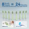 7AM2M Sonic Electric Toothbrush for Adults and Kids- High Power Rechargeable Toothbrushes with 8 Brush Heads,5 Adjustable Modes, Built-in 2-Minute Smart Timer,4 Hours Fast Charge for 30 DaysGreen view 2