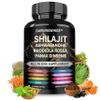 8-in-1 Shilajit 9000 Panax Ginseng 1500MG Ashwagandha 2000MG Rhodiola Rosea 1000MG, Turmeric 500MG, Gingko Biloba 500mg, Stinging Nettle 250MG, Cordyceps Mushroom 500 MG for Full Body Power view 1