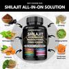 8-in-1 Shilajit 9000 Panax Ginseng 1500MG Ashwagandha 2000MG Rhodiola Rosea 1000MG, Turmeric 500MG, Gingko Biloba 500mg, Stinging Nettle 250MG, Cordyceps Mushroom 500 MG for Full Body Power view 3