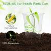 ECOLipak 1000 Count 12 OZ Clear Compostable Plastic Cups, Disposable Plant-Based Biodegradable Drinking Party Cups, PLA Plastic Cold Tumblers for Restaurant, Office, Canteen, Large Gathering view 3