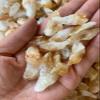 GAF TREASURES Wholesale Rough Citrine 0.5-1.25", Natural Small Citrine Point/Stone, Raw Citrine Healing Crystal (Citrine Point, 0.25 Pound) view 3