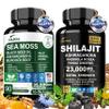 DLNIA Shilajit 9000mg, Sea Moss 17500mg, Ginger & Black Seed Oil 4000mg, Ashwagandha 5000mg, Rhodiola Rosea, 1000mg Panax Ginseng 1500mg, All in 1 Supplement - Sea Moss & Shilajit Vitality Bundle view 1