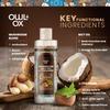 Owl & Ox Creamer Variety Pack - Mushroom, Collagen, MCT Bundle | Chocolate Hazelnut, Salted Caramel and Vanilla Flavors | 3 x Bottles view 2