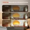 Dreamegg Sunrise 1 - Sunrise Alarm Clock, Sound Machine for Sleep, Customizable Sleep Routines, Dimmable Night Light, 29 Soothing Sounds, White Noise Machine, Wake Up Light for Bedrooms, Adults, Kids view 4