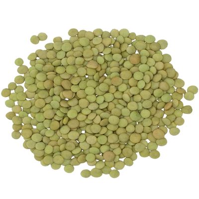 Green Lentils | Project Non-GMO Verified | 18 lb | Vegan | Non-Irradiated (Will Sprout) | Kosher | Vegan