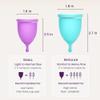 Ecoblossom Complete Menstrual Cup Kit - Small & Large Reusable Period Cups, Silicone Sterilizer Holder, Cleansing Wash, Water-Based Lube, and Easy-Insert Disc Applicator - All Inclusive Set view 3