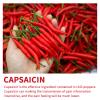 50 pcs Capsaicin Patches, Hot Capsicum Patch, 7.09"" * 4.72"" Natural Heat Patches Plaster, Long-Lasting Warming Relief for Knee, Neck, Should view 4