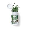 NineLife Basics Viva Moringa Oleifera uncoated Tablets - Made with Dried Moringa Leaf - Non-GMO Whole Green Super-Food 500 Count (Pack of 1) view 4