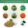 Solluna by Kimberly Snyder Greens Superfood Powder with Spirulina, Cordyceps, Chlorella, Moringa, Ashitaba, Amalaki, Monk Fruit  Vitamins & Minerals for Energy & Mood (30 Serv) Vegan & Non-GMO view 4