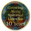 10 Year Tree of Life Medallion Colorful Sobriety Chip Growing Along Spiritual Lines view 2