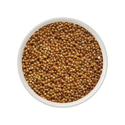 Apni Maati Kodo Millet, Whole Grain Gluten-Free Millet Rice, Natural Varagu/Arikelu/Hark/Varigu, Direct from Farm (400, Grams)