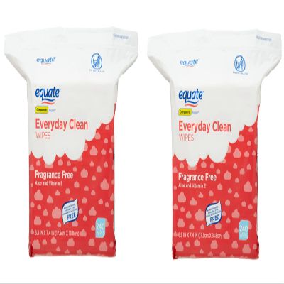 2 PACK Everyday Clean Aloe Wipes, 1 Resealable Pack 240ct each (480 Total Wipes)