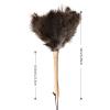 Daieeparty Ostrich Duster Fluffy Natural Feather Dusters with Wooden Handle Cleaning Supplies for Home Office Car (1, 16inch) view 2