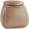 XWZFFAI Pet Urn Fine,Pet Urn Cremation Urn for Ashes Funeral Urn Cremation Urn Children and Pet Urns Mini-Style Sealed Against Moisture Affordable Cremation Urns/Yellow view 1