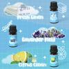 ARVIDSSON Laundry Collection Essential Oil Set, Natural Clean Essential Oils for Diffuser, Use with Wool Dryer Balls - Fresh Linen, Citrus Clean, Laundry Day, Chamomile Bliss, Lavender Field, Minty view 3