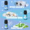 ARVIDSSON Laundry Collection Essential Oil Set, Natural Clean Essential Oils for Diffuser, Use with Wool Dryer Balls - Fresh Linen, Citrus Clean, Laundry Day, Chamomile Bliss, Lavender Field, Minty view 4