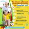 (2 Pack) Kids Multivitamin Gummies with Iron, Sugar Free, Kids Daily Vitamins + Probiotics, Algae Omega 3 (EPA/DHA), A, C, D, Methyl B12, Folate, B6, Zinc, Biotin, for Healthy Growth, Immune Support view 3