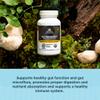 Ancient Nutrition Regenerative Organic Certified Probiotics for Gut Recovery, Probiotics Gut Recovery, for Healthy Digestion and Immune System Function Support, 50 Billion CFUs* Per Serving, 60 Count view 4