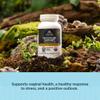 Ancient Nutrition Regenerative Organic Certified Probiotics for Menopause Support, Probiotics Menopause Support, Healthy Digestion and Womens Health Support, 50 Billion CFUs* Per Serving, 60 Count view 4