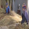 (5 Packs) Gentle Cleaning Power of Asian Broom - Traditional Vietnamese Straw Brooms view 4