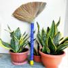 (6 Packs) Traditional Asian Broom Trio - 40" Vietnamese Straw Brooms for Gentle Cleaning view 4