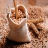 Food to Live Organic Spelt Berries, 25 Pounds - Non-GMO, Whole Grain, Non-Irradiated, Vegan Superfood, Bulk, Product of the USA view 4